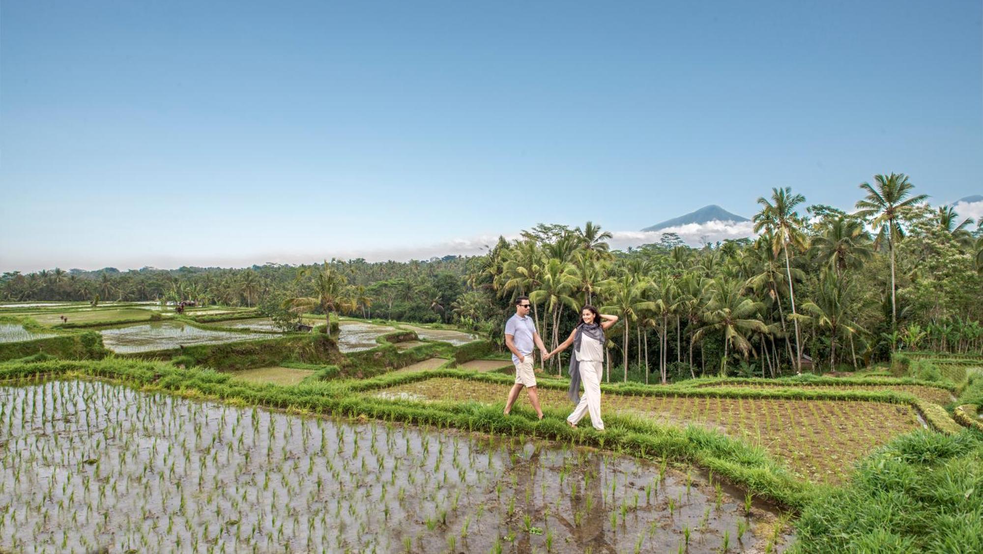 Samsara Ubud Экстерьер фото